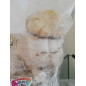 Whitebilly Magic Mushroom Grow Bag - Mycobag Whitebilly Magic Mushroom Grow Bag - Mycobag