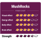 Trufas mágicas MushRocks - McSmart Trufas mágicas MushRocks - McSmart