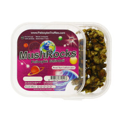 Trufas mágicas Psilocybe Galindoi "Mushrocks" - McSmart
