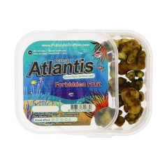 Trufas mágicas Psilocybe Atlantis - McSmart