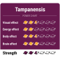Truffes Magiques Tampanensis – McSmart Truffes Magiques Tampanensis – McSmart