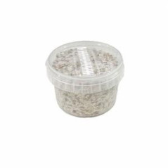 Kit de cultivo exterior de setas alucinógenas Psilocybe azurescens