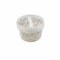 Kit de cultivo exterior de setas alucinógenas Psilocybe azurescens