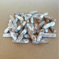 Chevilles de mycélium BIO pour culture de champignons Crinière de lion