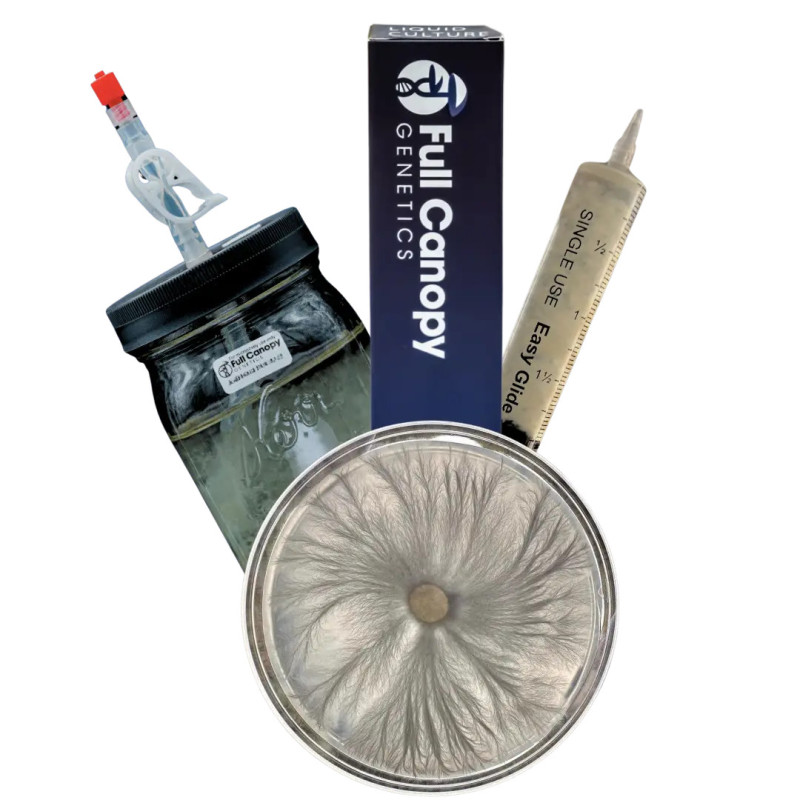 Casper Liquid Culture Syringe Casper Liquid Culture Syringe