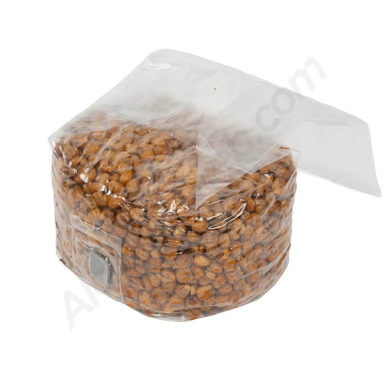 Steriliseret majskorn 2L - Mycosupplies