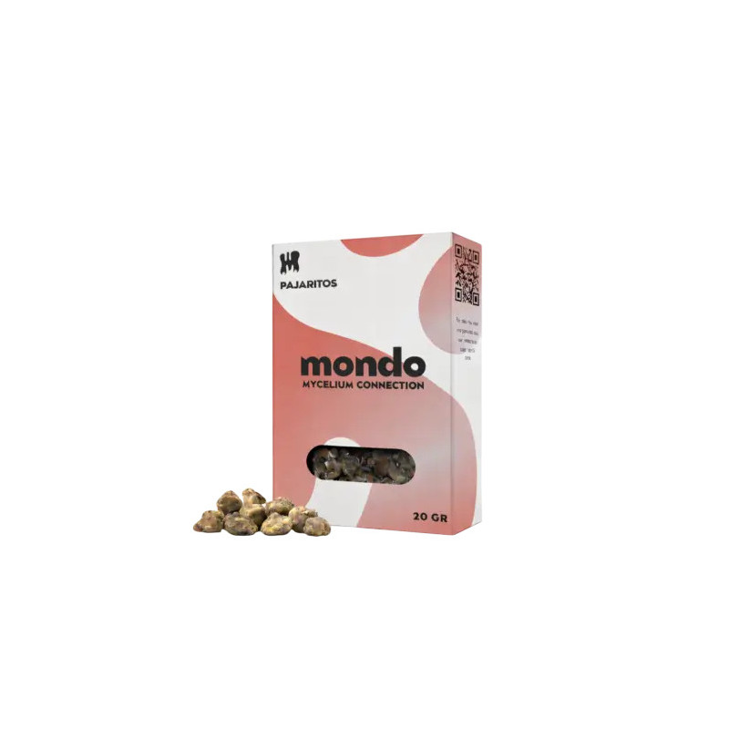Truffes Pajaritos - Mondo Growkits