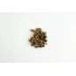 Mondo Tampanensis trøfler - Mondo Growkits Mondo Tampanensis trøfler - Mondo Growkits