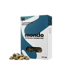 Truffes Tampanensis Mondo (15gr) - Sclérotes de Psilocybine