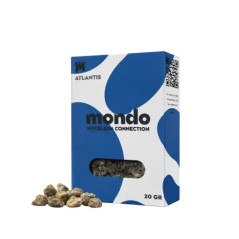Mondo Atlantis trøfler (15 gr) - Psilocybin-sklerotier