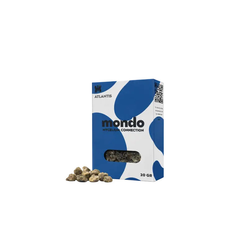Trufas Atlantis - Mondo Growkits