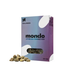 Truffes Galindoi Mondo (15gr) - Sclérotes de Psilocybine