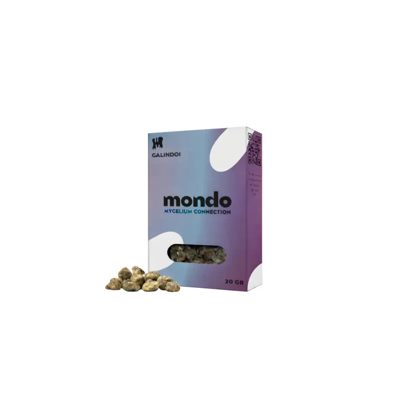 Truffes Galindoi - Mondo Growits Truffes Galindoi - Mondo Growits
