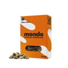 Hollandia trøfler Mondo (15gr) - Psilocybin-sklerotier