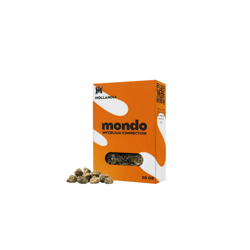 Hollandia trøfler - Mondo Growits