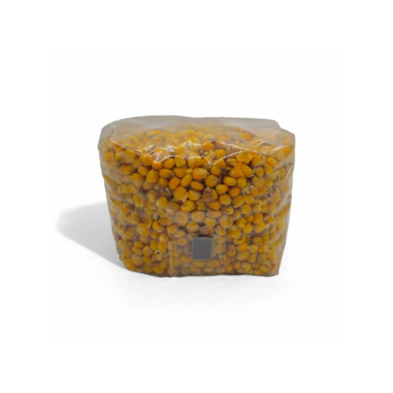 Grano esterilizado de maíz 2L - Mycosupplies Grano esterilizado de maíz 2L - Mycosupplies