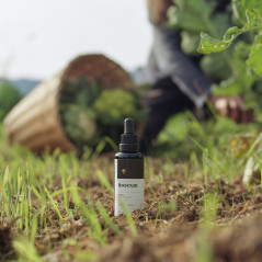Chaga Extract - Inonotus obliquus from Boscum