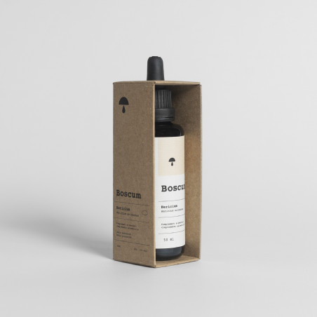 Lion's Mane Liquid Extract - Hericium erinaceus from Boscum