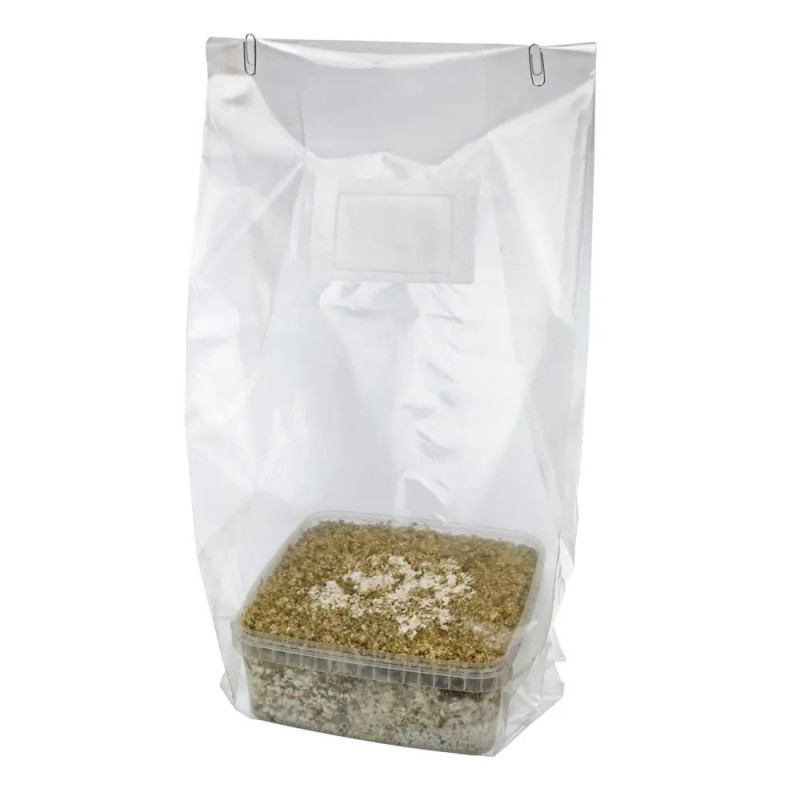 Kalolary Kit Culture Champignons Monotub - Chambre Fructification Réutilisable Avec Accessoires