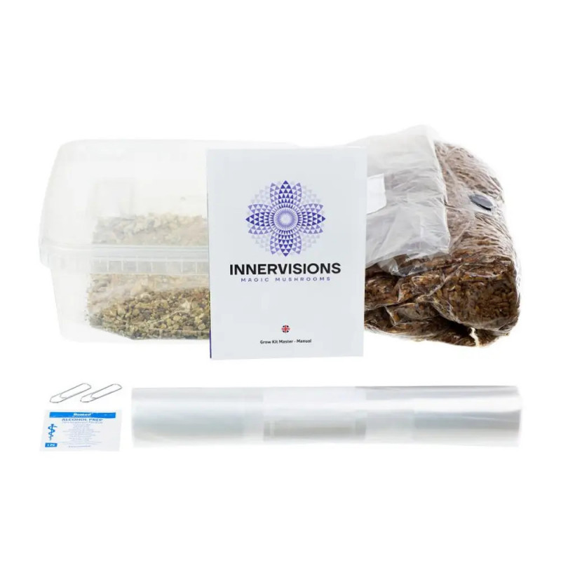 Kit de cultiu de bolets Ecuador - Innervisions Kit de cultiu de bolets Ecuador - Innervisions