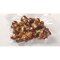 Tartufi magici Psilocybe Pajaritos da Freshmushrooms