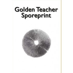 Print d'espores de bolets al·lucinògens Golden Teacher - McSmart