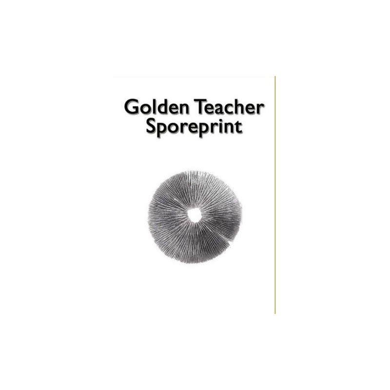 Golden Teacher mushroom spore print - McSmart Golden Teacher mushroom spore print - McSmart