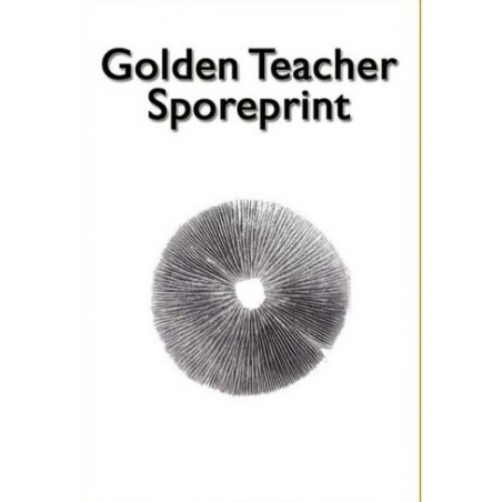 Print d'espores de bolets al·lucinògens Golden Teacher - McSmart