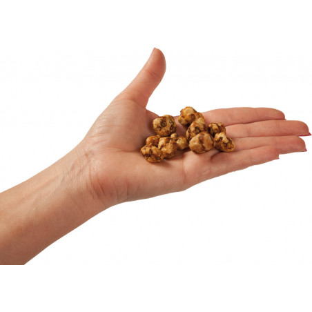 Trufes màgiques Psilocybe Pajaritos de Freshmushrooms