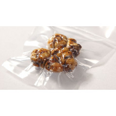 Cogumelos frescos trufas mágicas Psilocybe Tampanensis