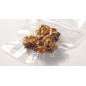 Psilocybe Tampanensis Truffles - Freshmushrooms Psilocybe Tampanensis Truffles - Freshmushrooms