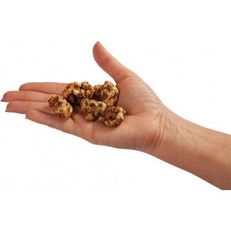 Psilocybe Tampanensis magic truffles by Freshmushrooms