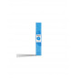 Mazatapec spore vial 10ml - Mondo Mazatapec spore vial 10ml - Mondo