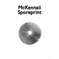 Impressão de esporos de cogumelos de Mckennaii Impressão de esporos de cogumelos de Mckennaii
