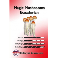 Ecuador hallucinogenic mushroom spores print - McSmart