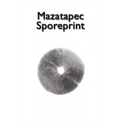 Print d'espores de bolets màgics Mazatapec de McSmart