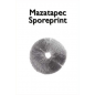 Print d'espores Mazatapec Print d'espores Mazatapec