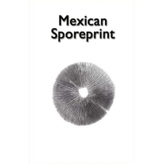 
Print d'espores de bolets al·lucinògens Mexican - McSmart
