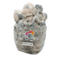 Long White Cloudz Magic Mushroom Grow Bag - Mycobag