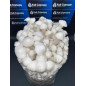 Bossa de cultiu de bolets Long White Cloudz - Mycobag Bossa de cultiu de bolets Long White Cloudz - Mycobag