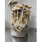 Mycobag per la coltivazione di funghi Tidal Wave Ape Mycobag per la coltivazione di funghi Tidal Wave Ape