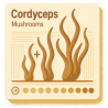Cordyceps