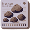 Mexicana