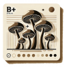 B+
