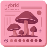 Ibridi