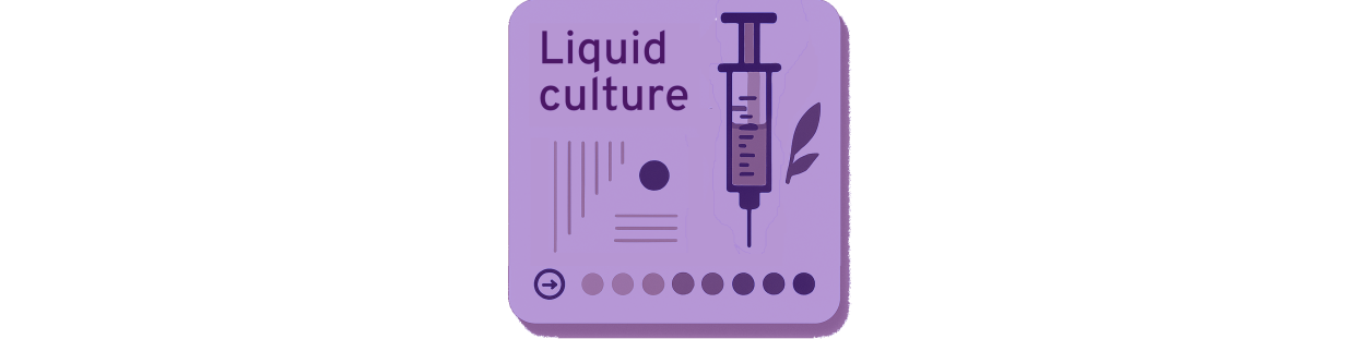 Xeringues de cultiu líquid - Miceli llest per usar