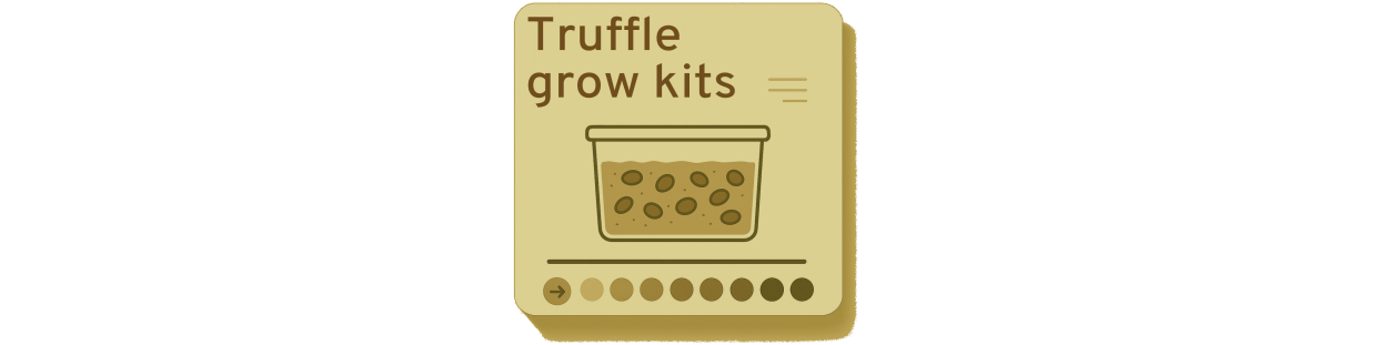 Kits de cultivo de trufas mágicas | Mushverse
