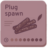 Mushroom plug spawn