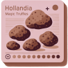 Hollandia